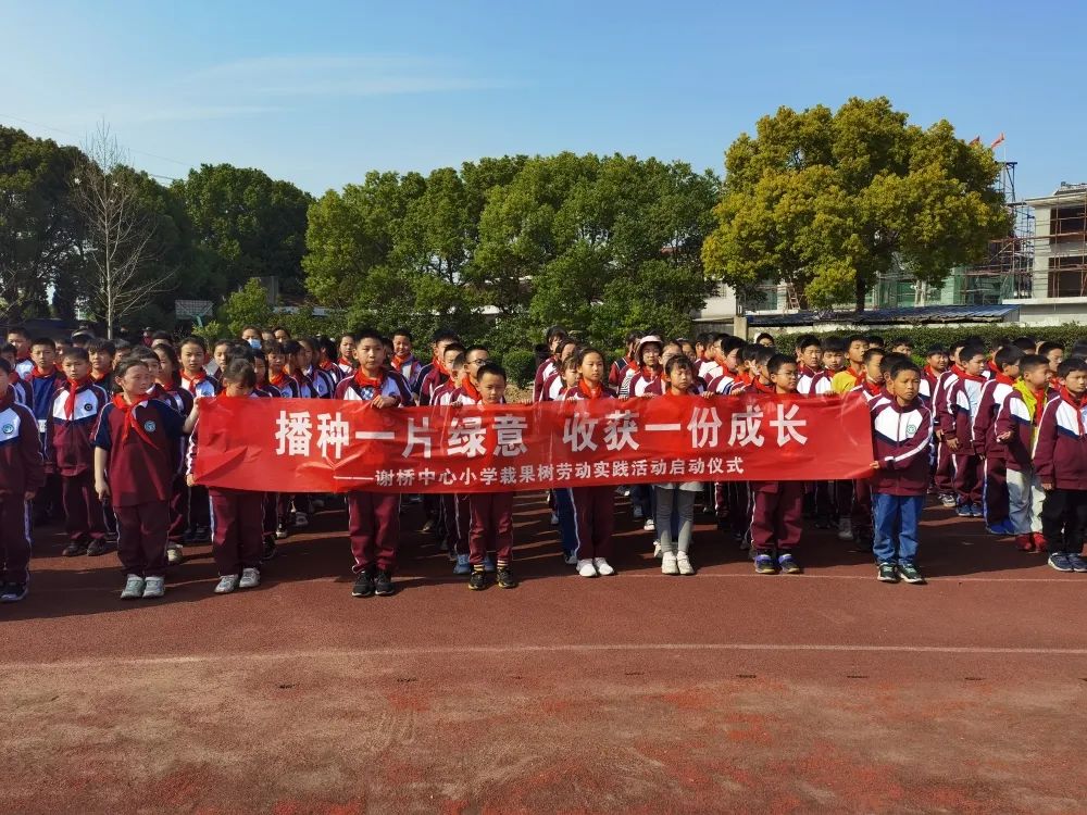 cf6151a8548d4ede889f841dd07ca56b.jpg