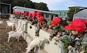 挑战自我，磨砺才干——记谢桥中心小学五年级社会实践活动