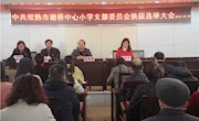 中共常熟市谢桥中心小学支部委员会换届选举会议顺利召开